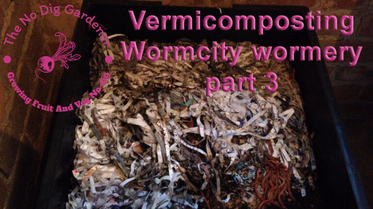 Wormery check up