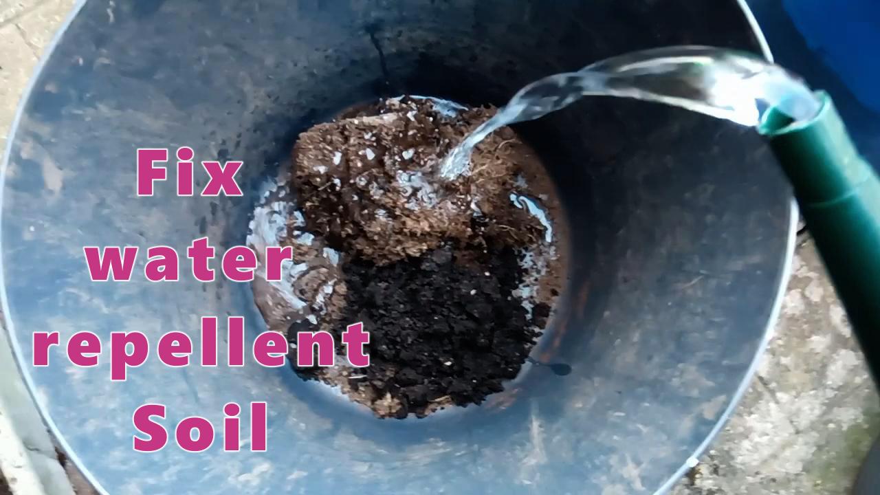 No Dig Gardening Fix hydrophobic soils