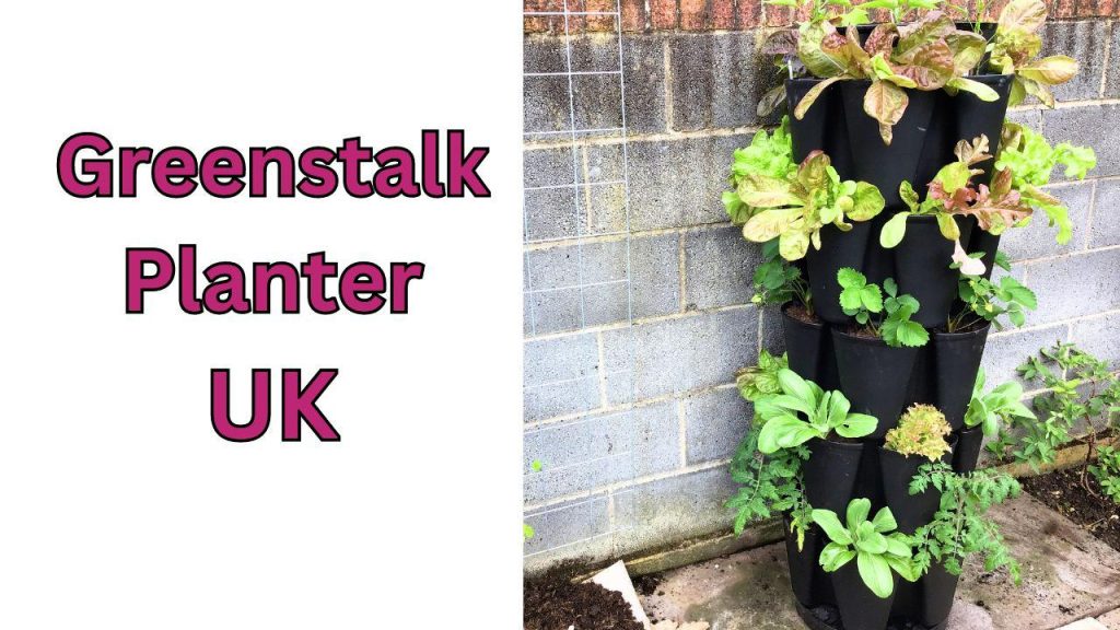The No Dig Gardener Greenstalk vertical planter uk